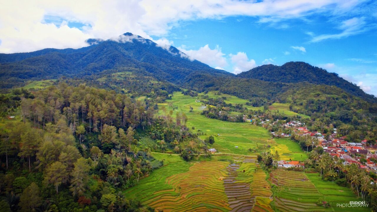 Suasana Pelemwulung